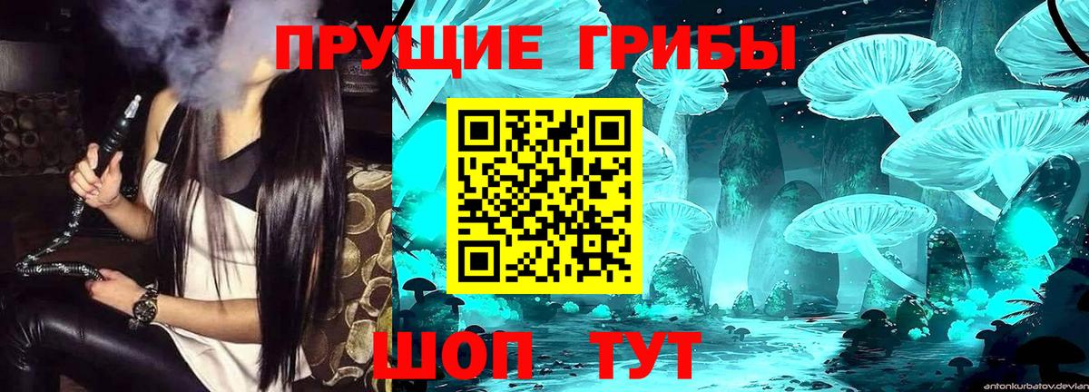 Шарыпово  Галлюциногенные грибы прущие грибы  Вход с VPN  Псилоцибиновые грибы Psilocybe 