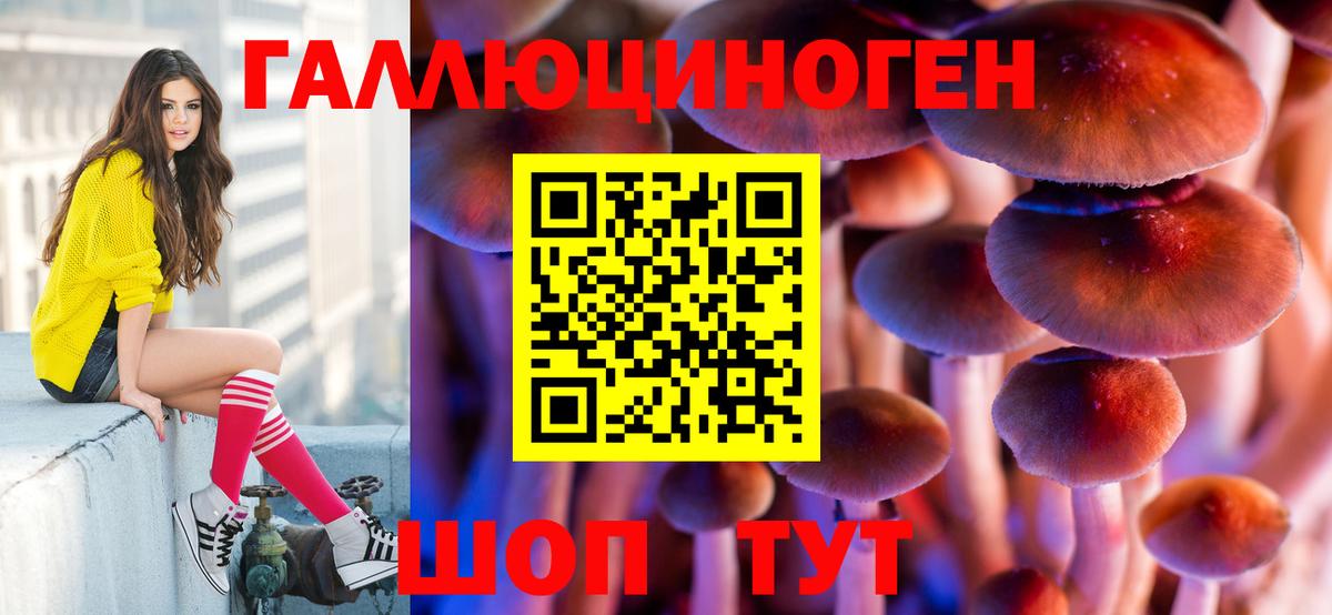 Псилоцибиновые грибы прущие грибы Шарыпово